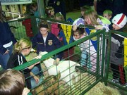 Story image 1_0