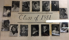 1981