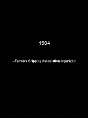 1904