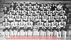 1981
